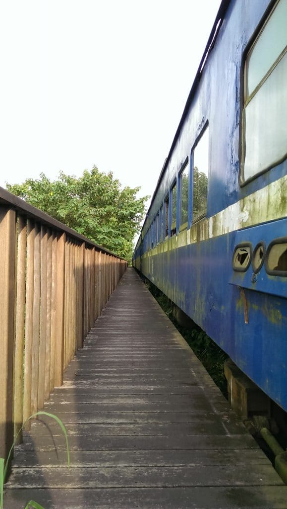 IMAG0932