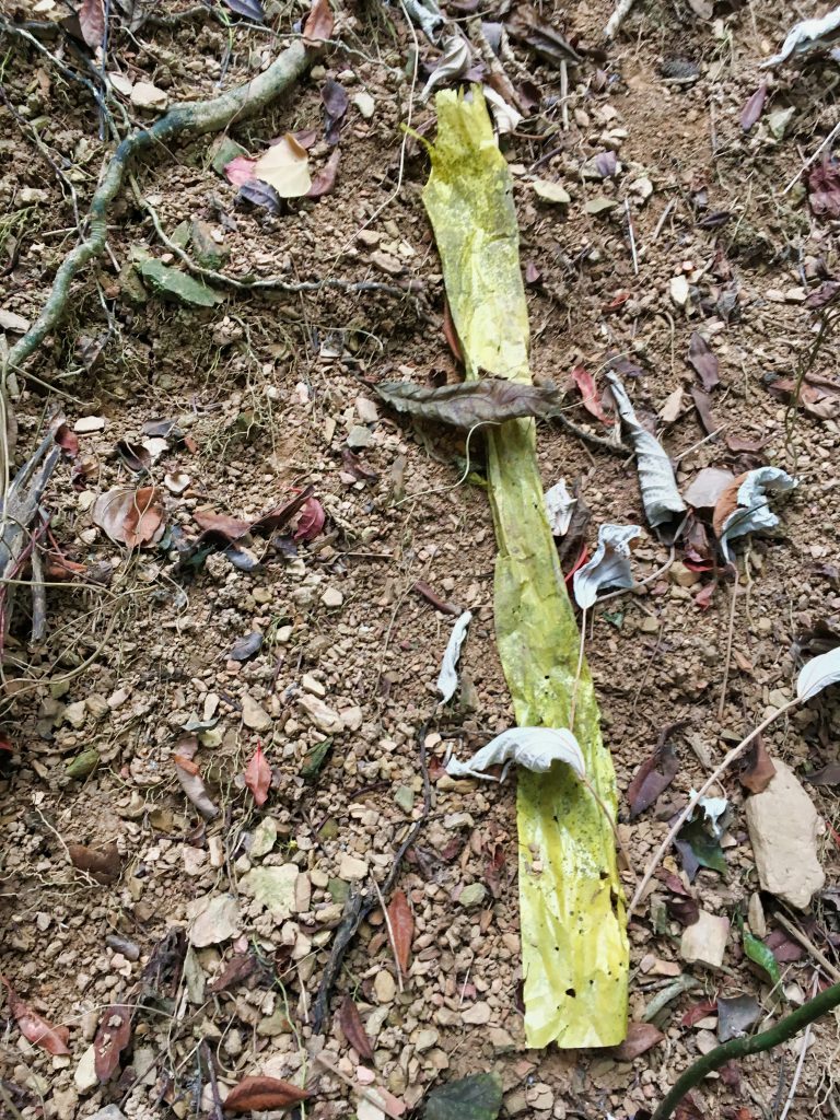 地上的標記布條