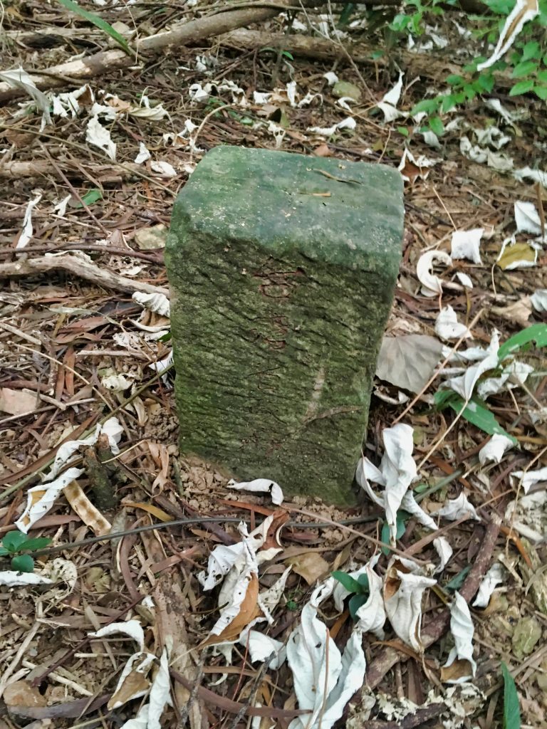 虻彈山北峰三角點