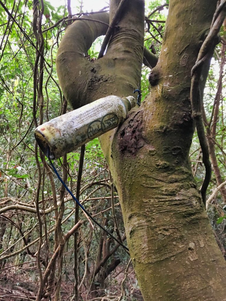 掛在樹上的塑膠瓶