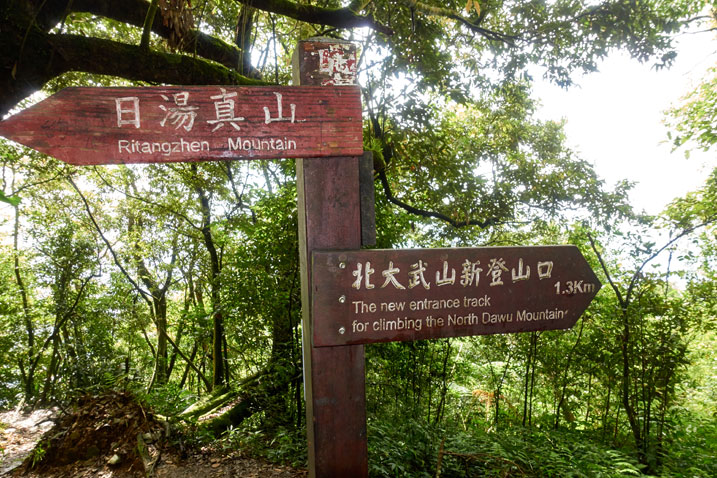 Wooden sign post with two signs