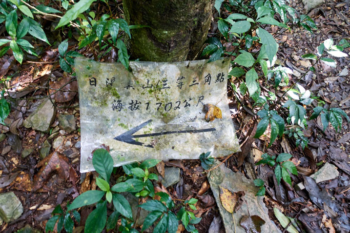 Old laminated paper on ground pointing hikers towards mountain peak