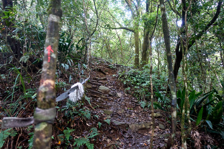 Rocky and rooty trail going up - red arrow painted on tree - rope to assist