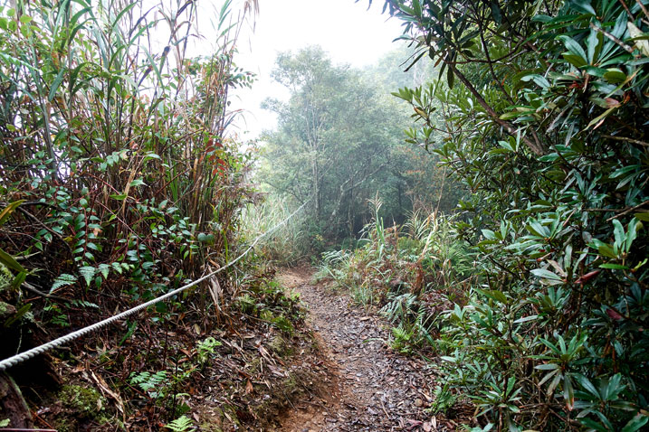 Ridge trail with rope on left