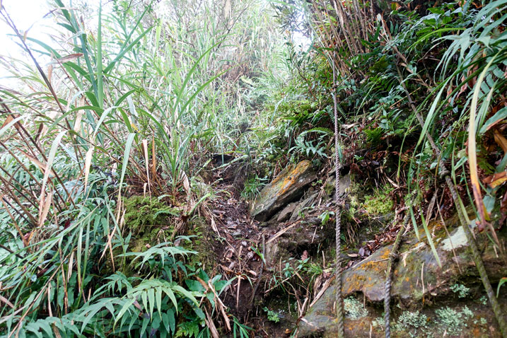 Near vertical rocky trail with rope