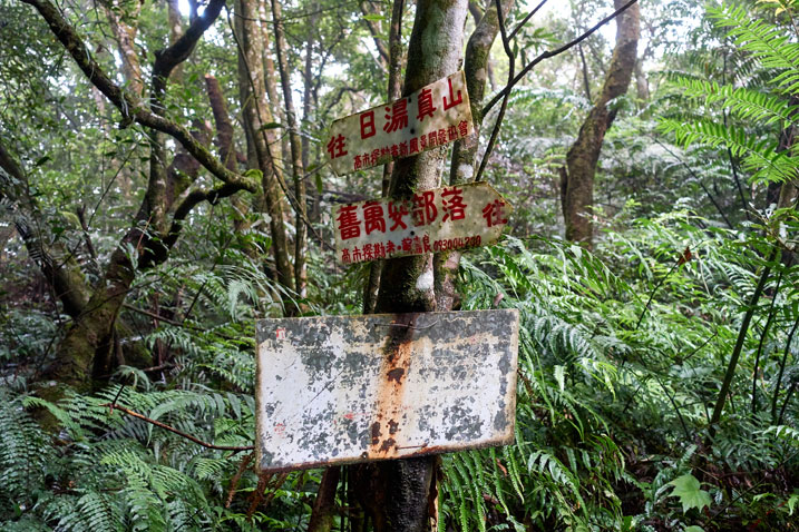 Three signs attached to a tree