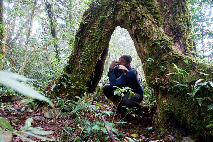 Man standing inside tree - making stupid face