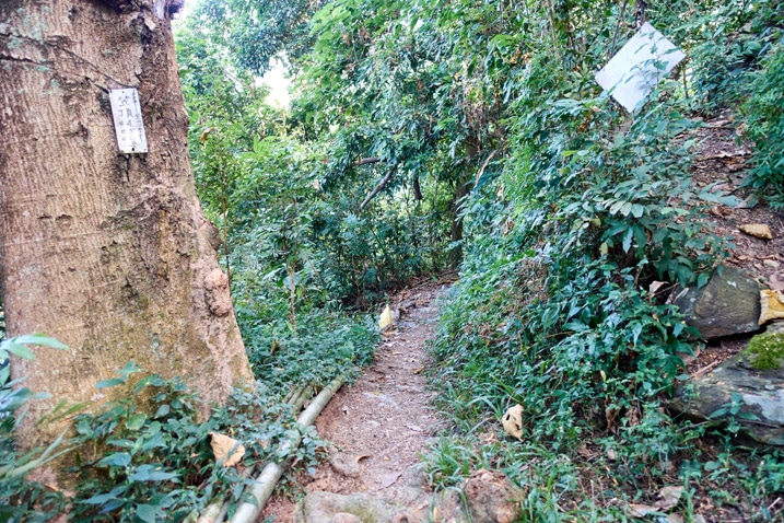 台灣山區步道