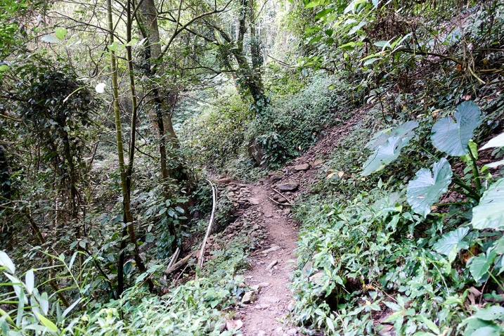 台灣山區單人步道