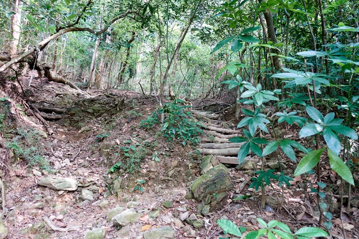 山區步道 - 用小木頭做成階梯