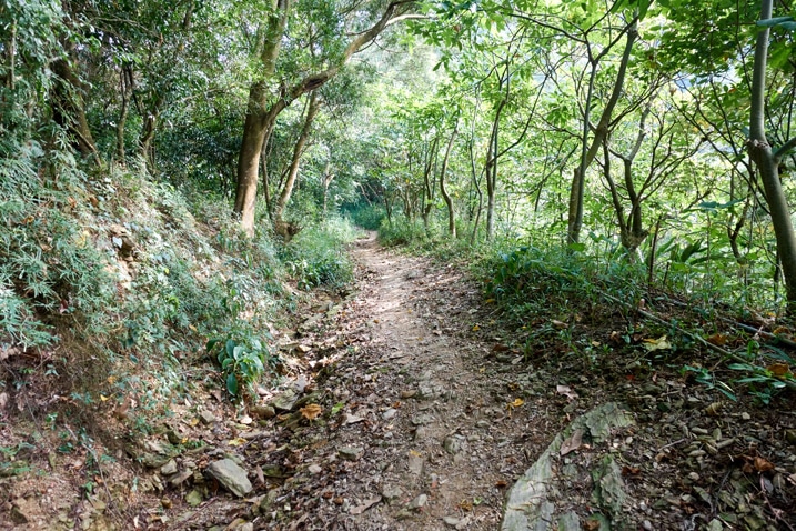 台灣山區土路