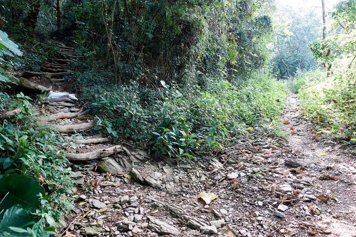 從主土路分岔出去的步道