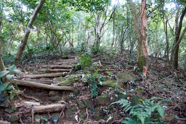 陡峭山區步道有木頭階梯