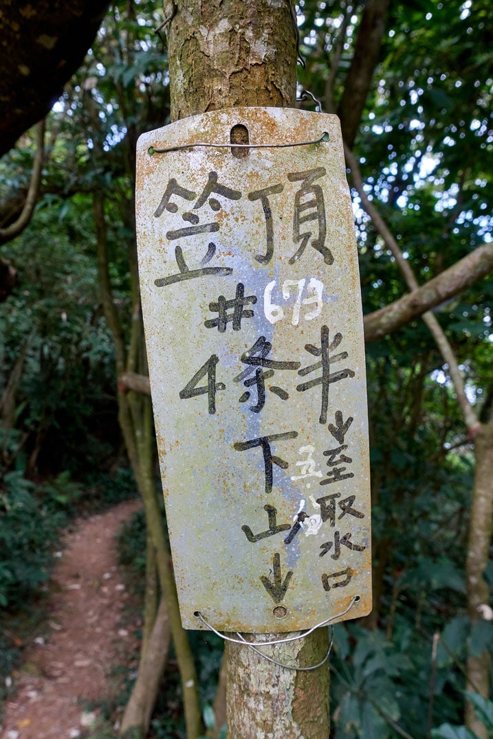 樹上掛著中文標誌