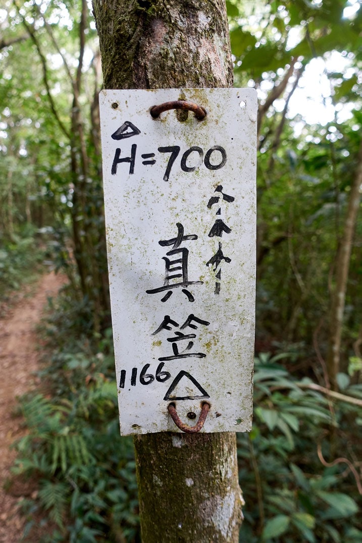 樹上掛著白色中文標誌