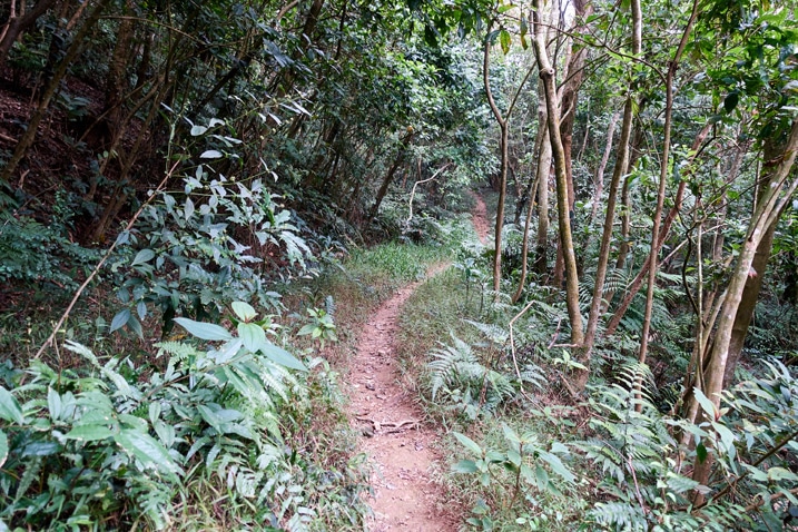 山區單人步道