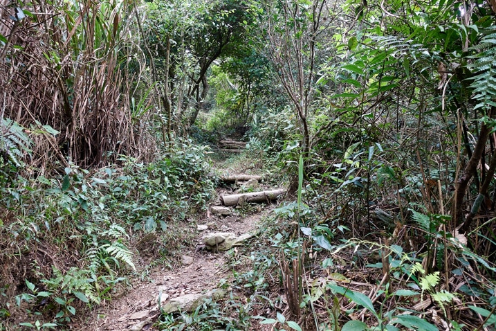 上山步道