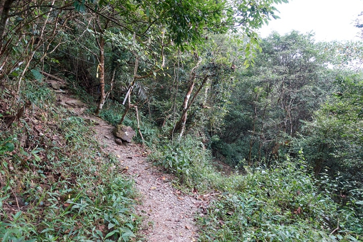 上山步道