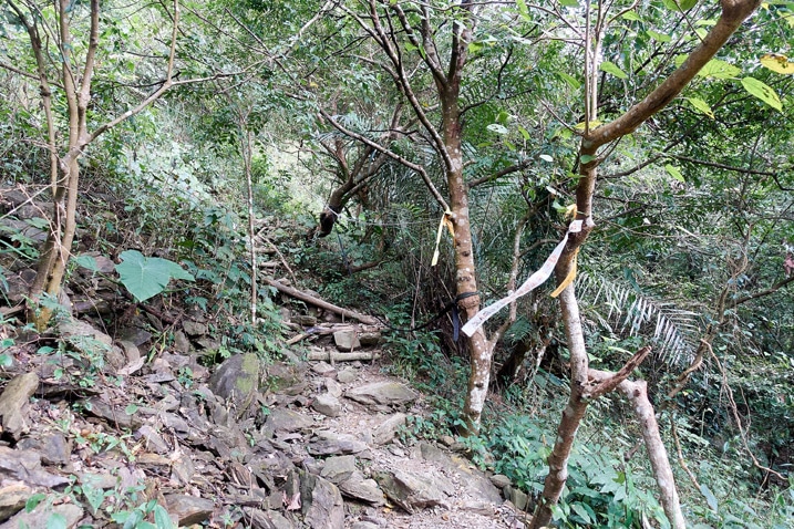 上山步道 - 小木頭做成階梯
