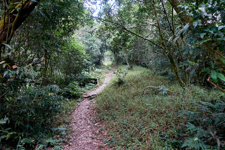 山區步道
