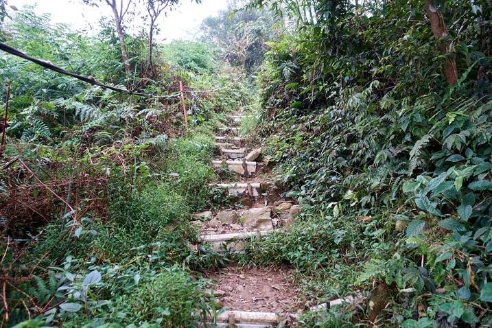 上山步道有階梯