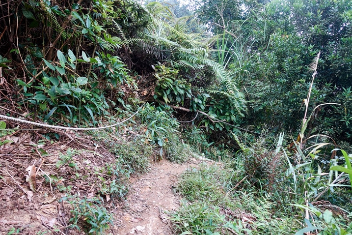 山邊步道 - 旁邊有繩索
