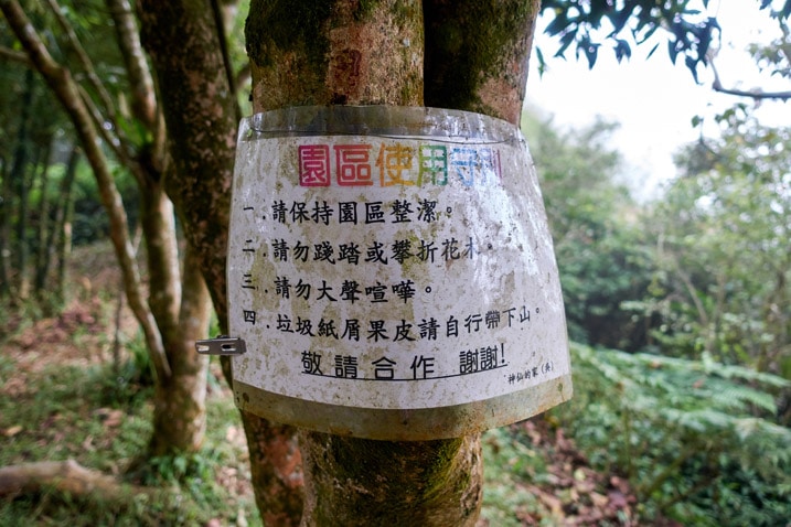 樹上掛著中文標誌