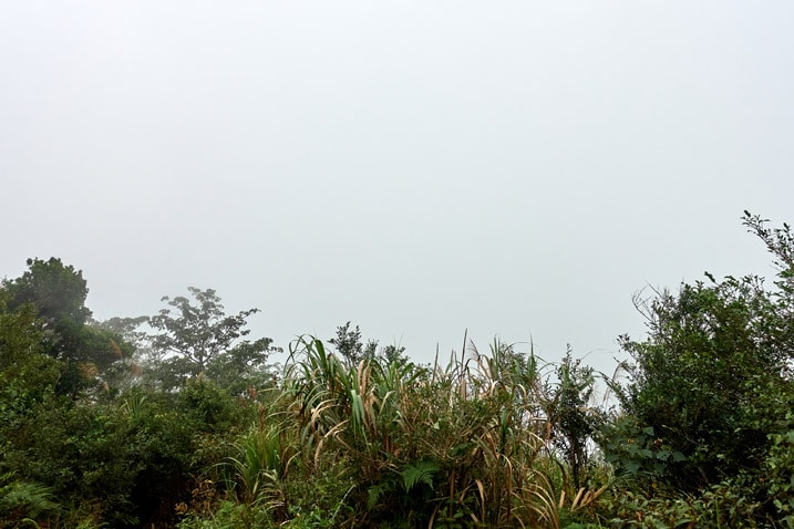 山頂霧景