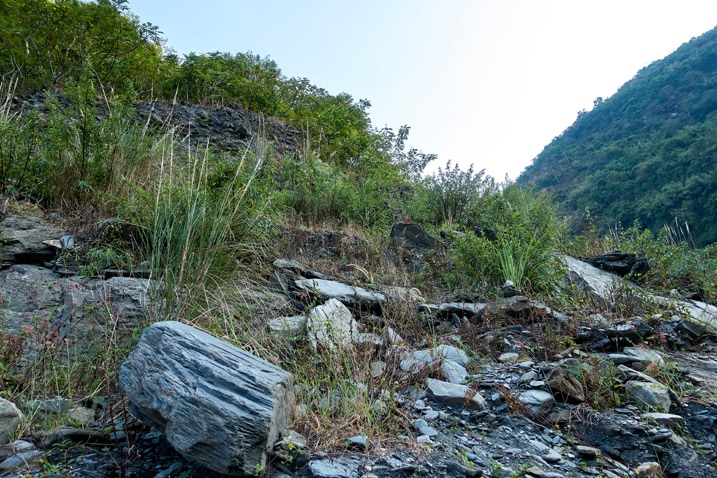 河床邊，岩石叢生且雜草叢生 - 足母山