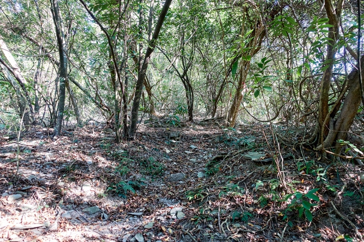 山林，岩石和枯葉遍地 - 足母山