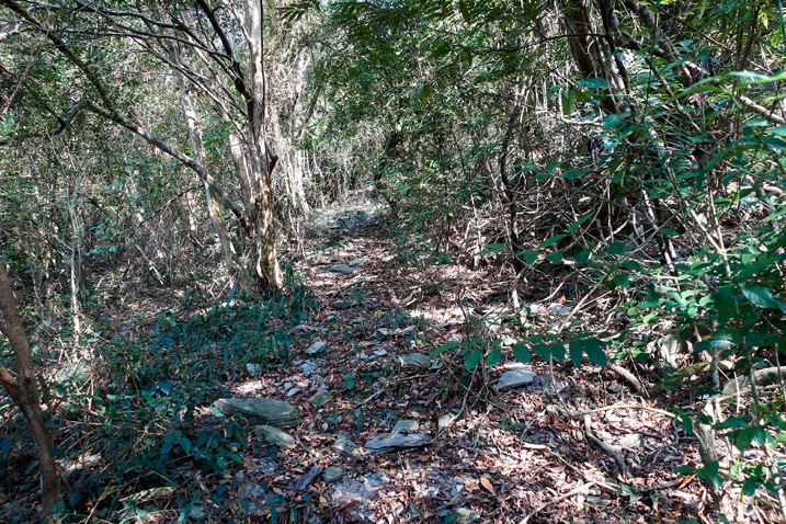 登山步道上山 - 足母山