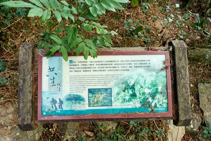 尾寮山健行 - 向下看的標示牌