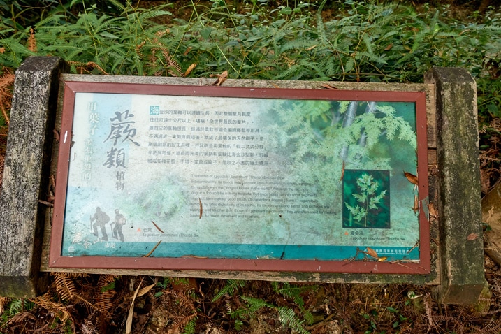 尾寮山健行 - 步道旁的大標示牌