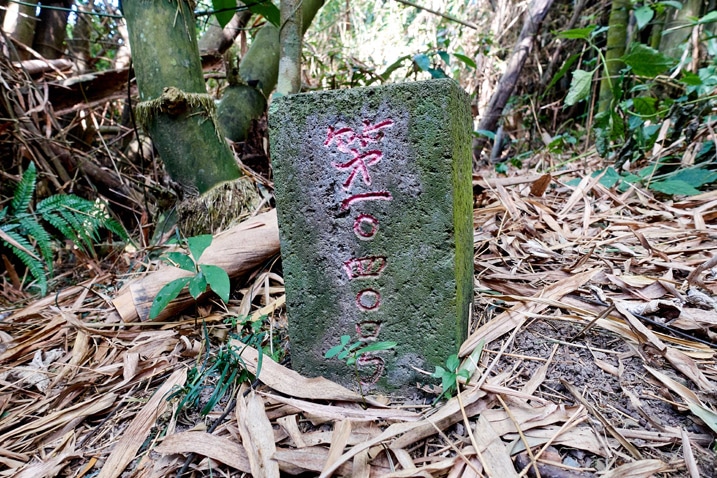 尾寮山西峰 - 尾寮山西峰三角點石頭