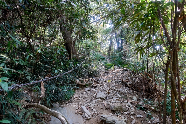 尾寮山健行 - 左邊有繩索的岩石步道，四周皆樹