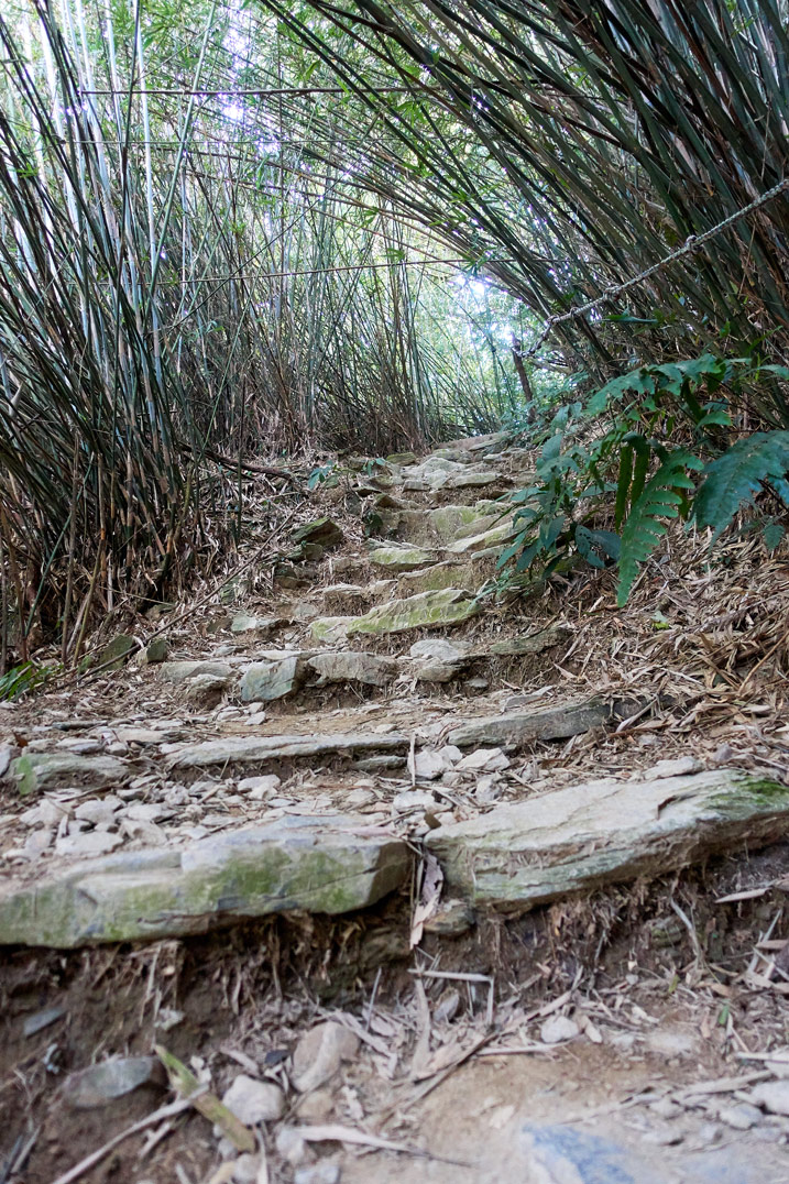 尾寮山健行 - 兩旁有竹子的岩石步道