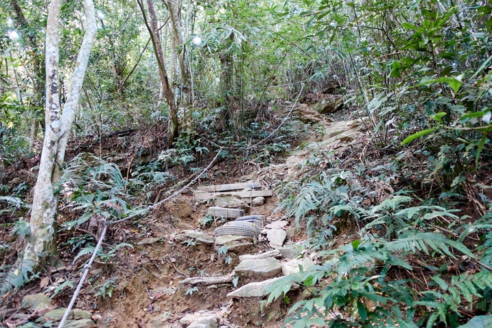尾寮山健行 - 兩旁有樹的岩石步道