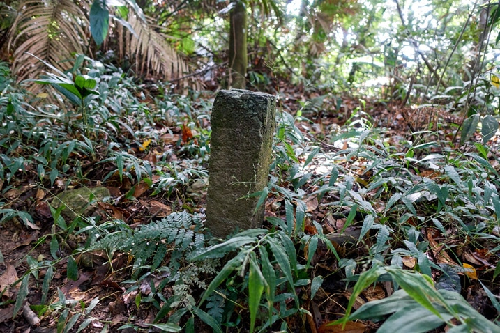 尾寮山健行 - 地面冒出的混凝土標記特寫
