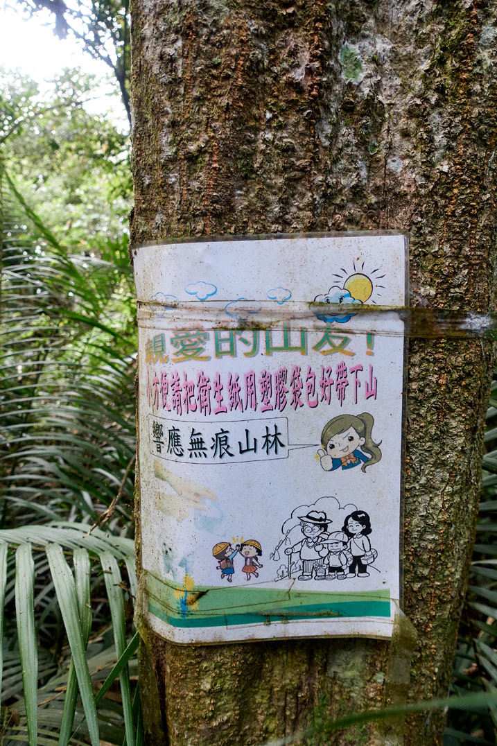 尾寮山健行 - 樹上的中文標示牌