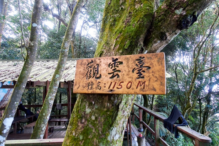 尾寮山健行 - 樹上的中文標示牌