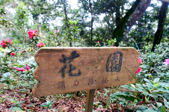 尾寮山健行 - 木製標示牌後有花