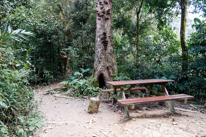 尾寮山健行 - 步道旁的野餐桌與樹