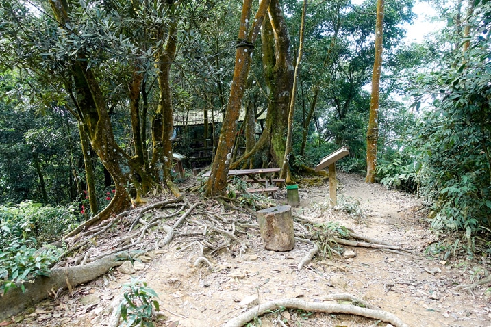尾寮山健行 - 樹木生長的泥地，背景有建築