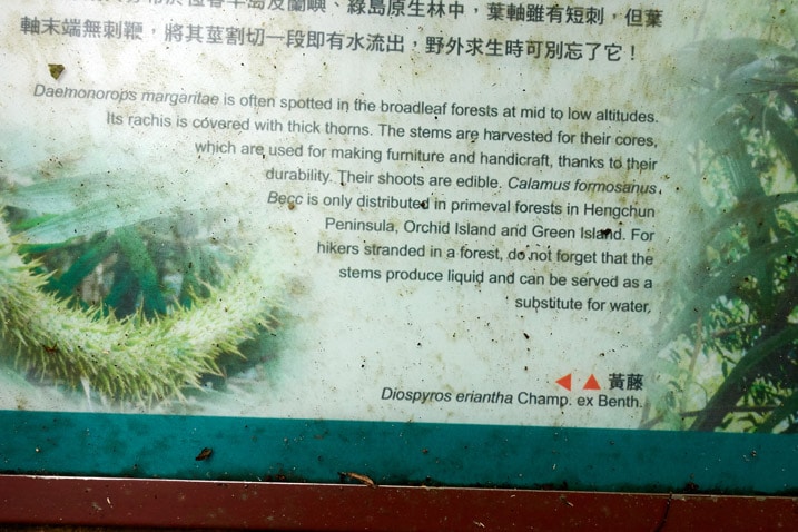 尾寮山健行 - 介紹某種植物的標示牌特寫