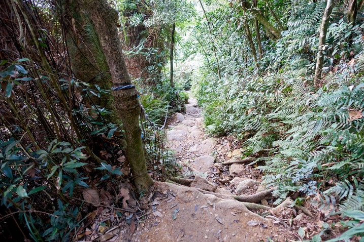 尾寮山健行 - 俯瞰岩石步道，左邊有繩索