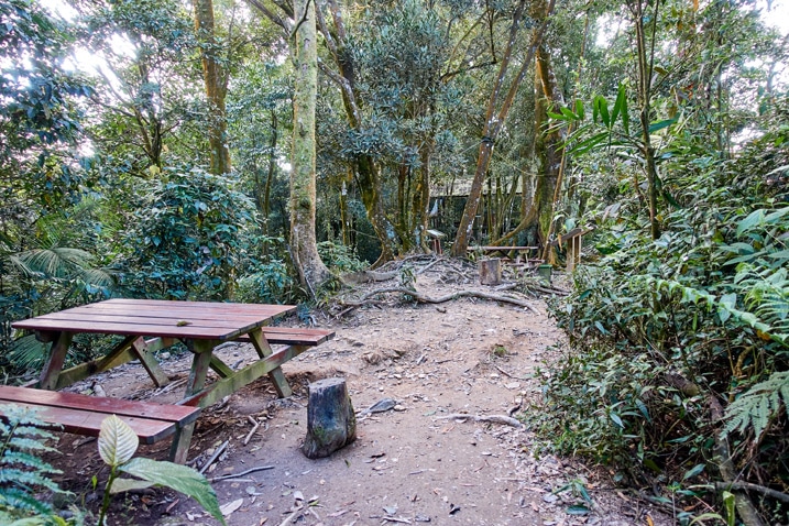 尾寮山健行 - 休息區，有野餐桌與涼亭，眾多樹木環繞