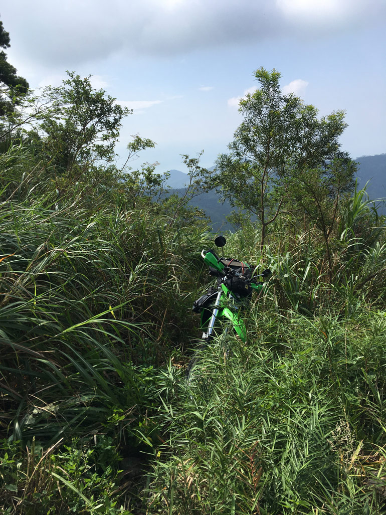 雜草叢生的步道，中間停著機車 - 北湖呂山