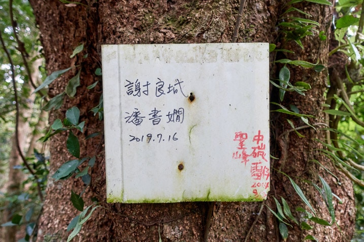 褪色的白底中文標誌釘在樹上 - 北湖呂山山頂