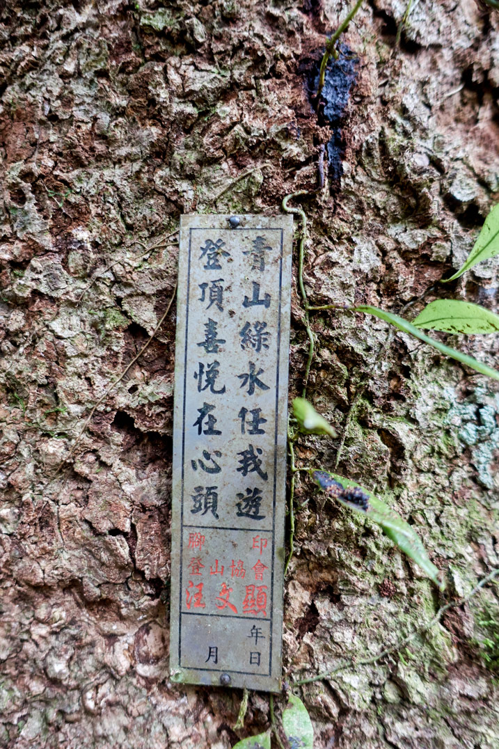 小金屬中文標誌釘在樹上 - 北湖呂山山頂