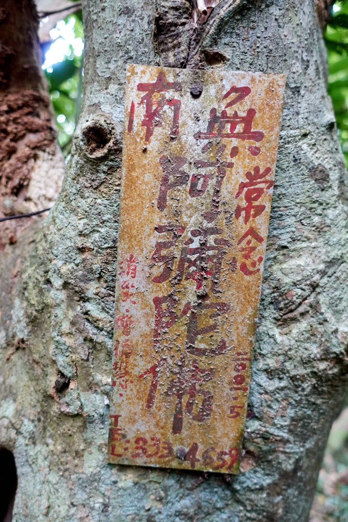舊髒的中文標誌綁在樹上 - 北湖呂山山頂